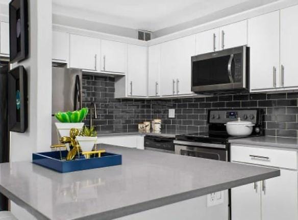 1130 S Michigan Ave unit 102 - Chicago, IL 60605 - Home For Rent
