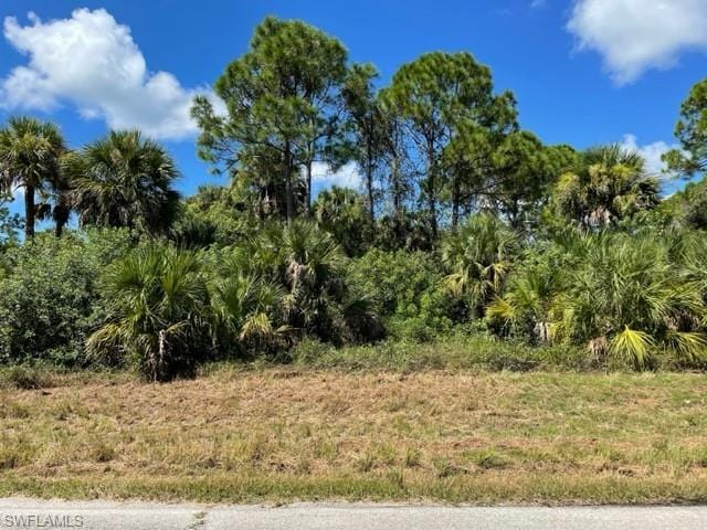 1316 North Andover Drive, La Belle, FL 33935 for Sale