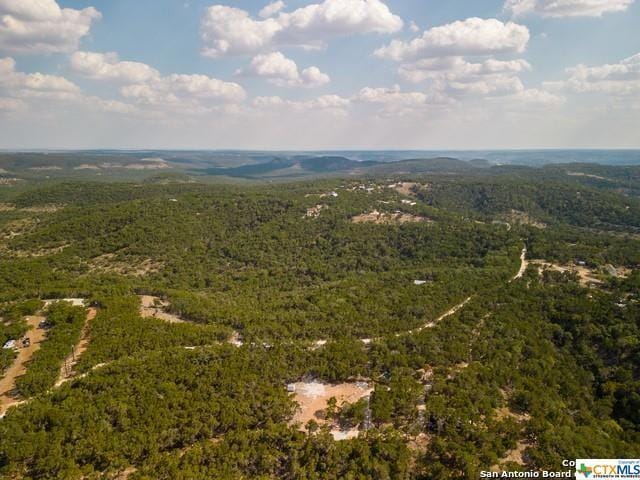 1161 Serenity, Fischer, TX 78623 for Sale