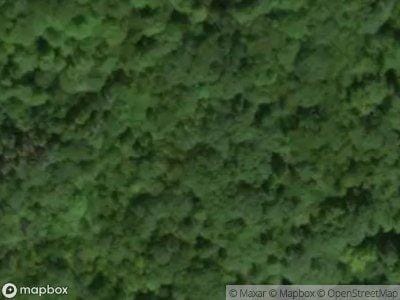 Bogardus Rd for Sale