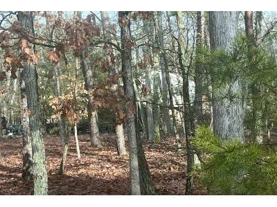 Powell Place Rd for Sale
