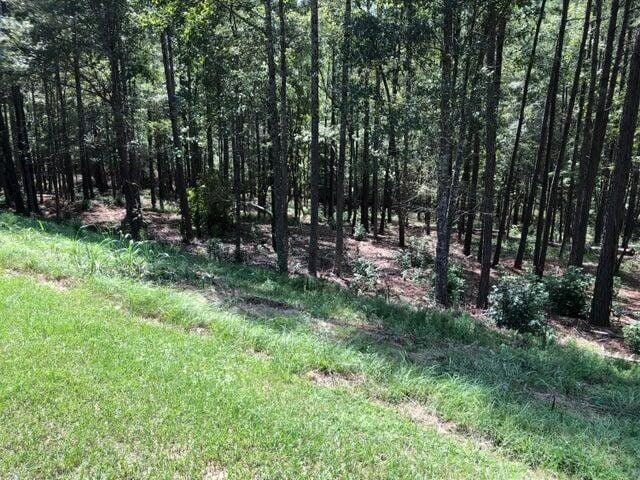 North Augusta, Edgefield County, SC Undeveloped Land, Homesites for sale Property ID: 418809176