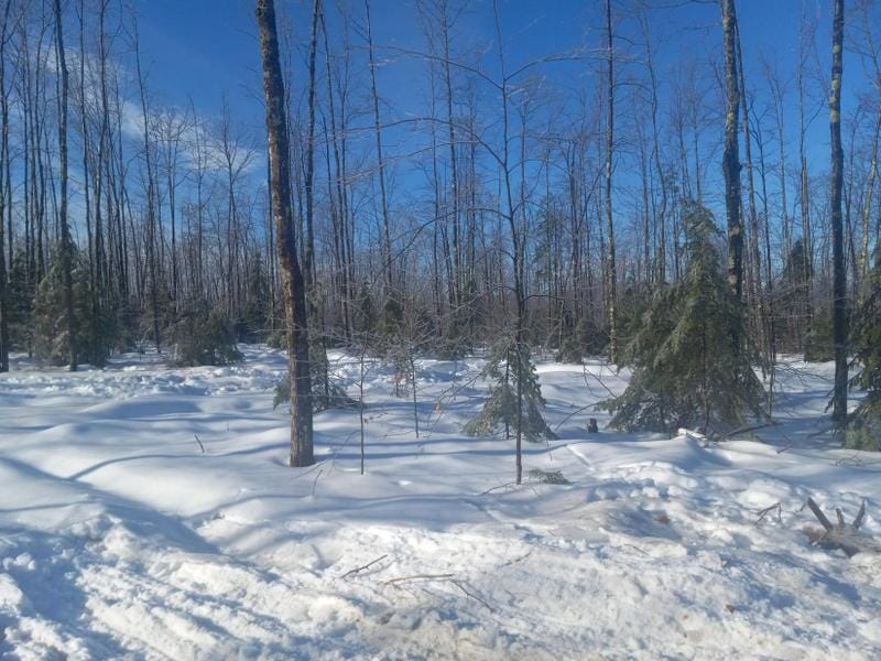 Vienna, Kennebec County, ME Undeveloped Land for sale Property ID: 418822496