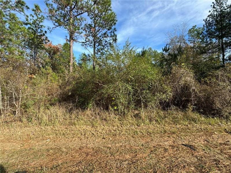 0 WILMER GEORGETOWN ROAD, Wilmer, AL 36587 Land For Sale  MLS# 7312068