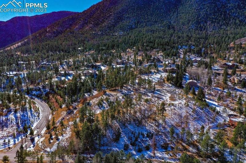 5330 Chipita Pines Dr, Cascade, CO 80809 - MLS 2035032 for Sale