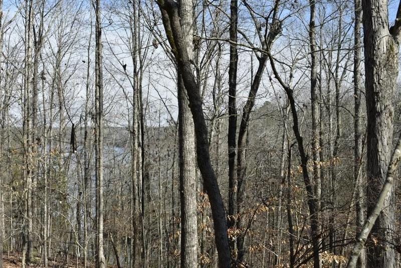Elberton, Elbert County, GA Undeveloped Land, Homesites for sale Property ID: 418693278