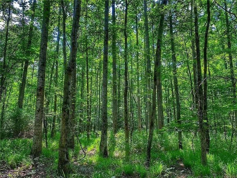 Lafayette, Chambers County, AL Undeveloped Land for sale Property ID: 418661564
