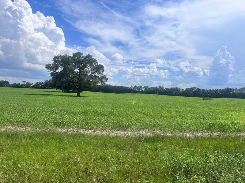 Tbd SW 30th Ave, Newberry, FL 32669 - MLS GC516105 for Sale