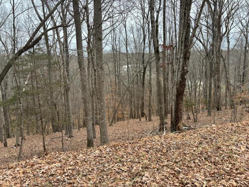 Lot 54 Shad Run Drive, Moneta, VA 24121 for Sale