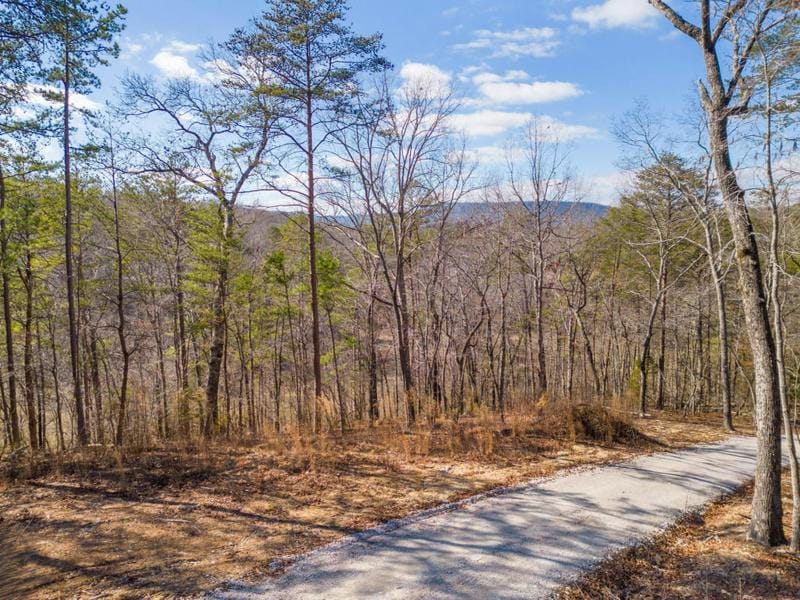 127 SUNSET RIDGE DR, Chickamauga, GA 30707 Land For Sale  MLS# 1386229