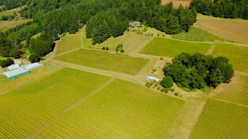 7820 SE Amity Road, Amity OR 97101 for Sale