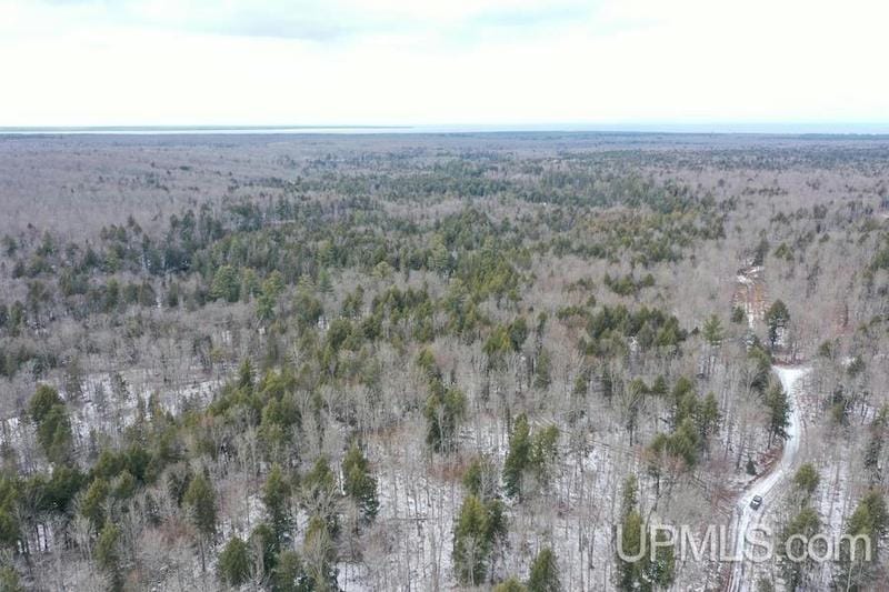 TBD OFF ERICK, Skanee, MI 49962 Land For Sale  MLS# 50133278