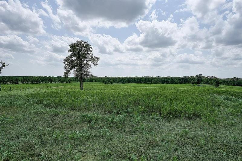 T-11 An County Road 466, Palestine, TX 75803 for Sale