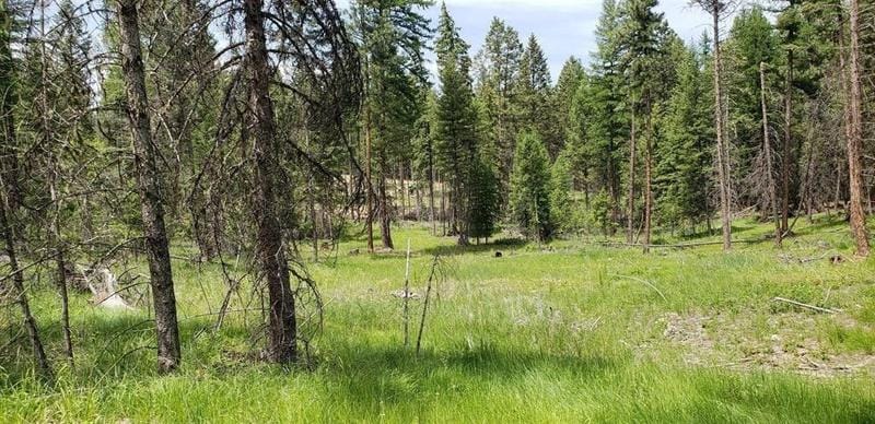 Eureka, Lincoln County, MT Undeveloped Land for sale Property ID: 418654658