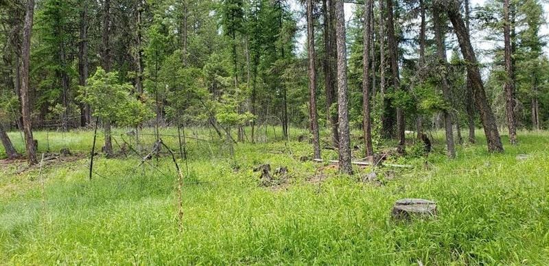 Eureka, Lincoln County, MT Undeveloped Land for sale Property ID: 418654655