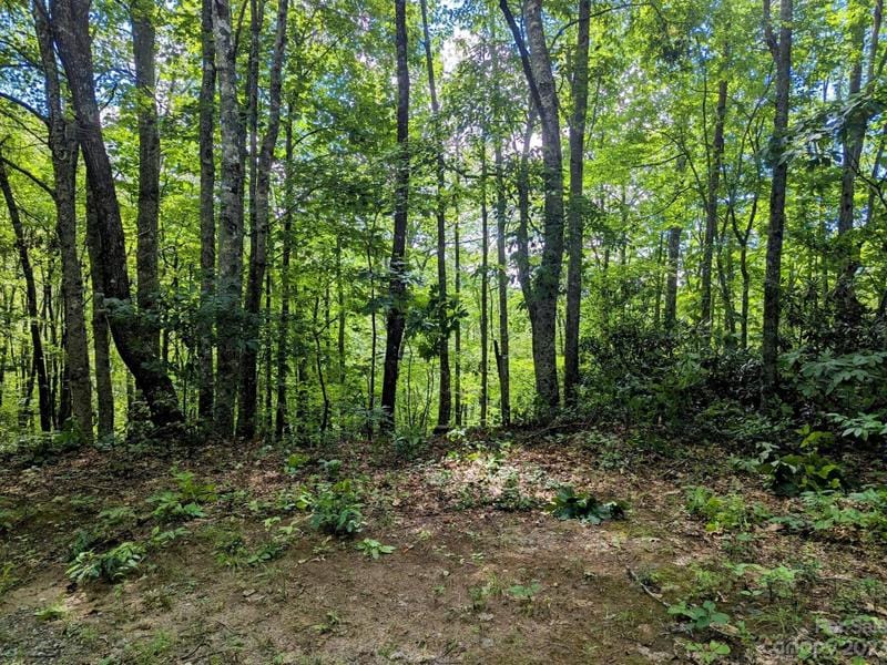 Lot 279 Cabin Flats Rd, Balsam, NC 28707 - MLS 4085906 for Sale