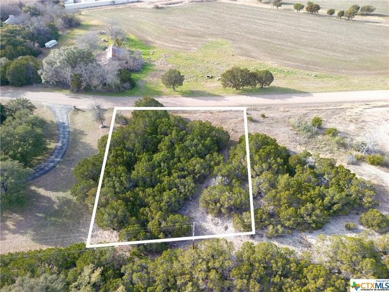 601 Cedar Ridge Road, Gatesville, TX 76528 for Sale