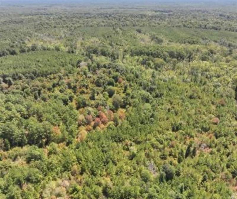 1130 County Rd 1130, Newton, TX 75966 for Sale