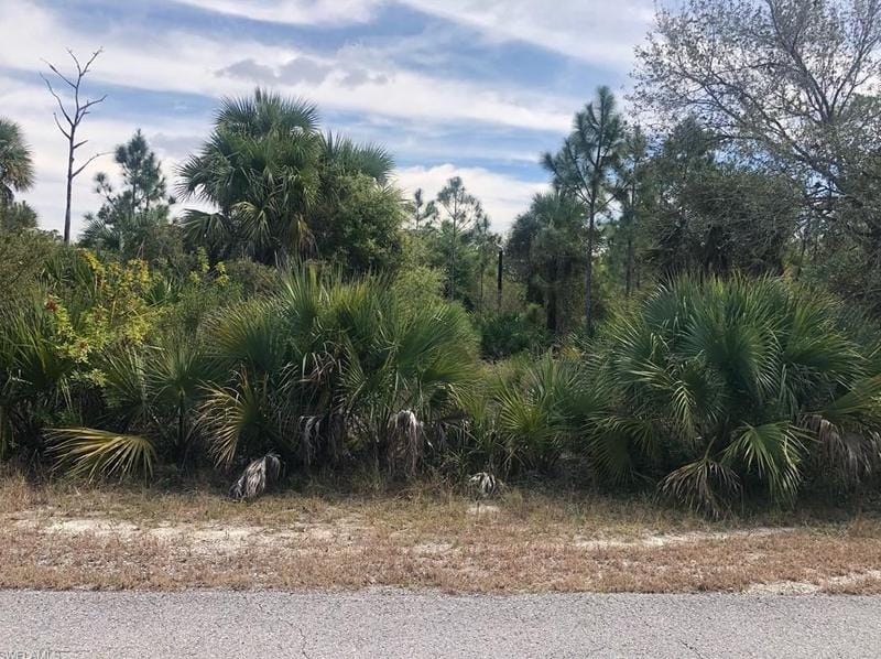 720 Maple Ave N, Lehigh Acres, FL 33972 - MLS 224013696 for Sale