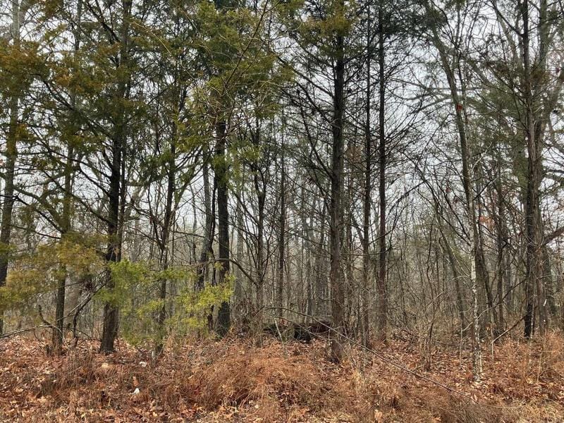 450 Molly Lane, Rockaway Beach, MO 65740  620810172 for Sale