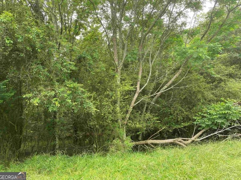0 River Birch Ln, Colbert, GA 30628 - MLS 20165385 for Sale