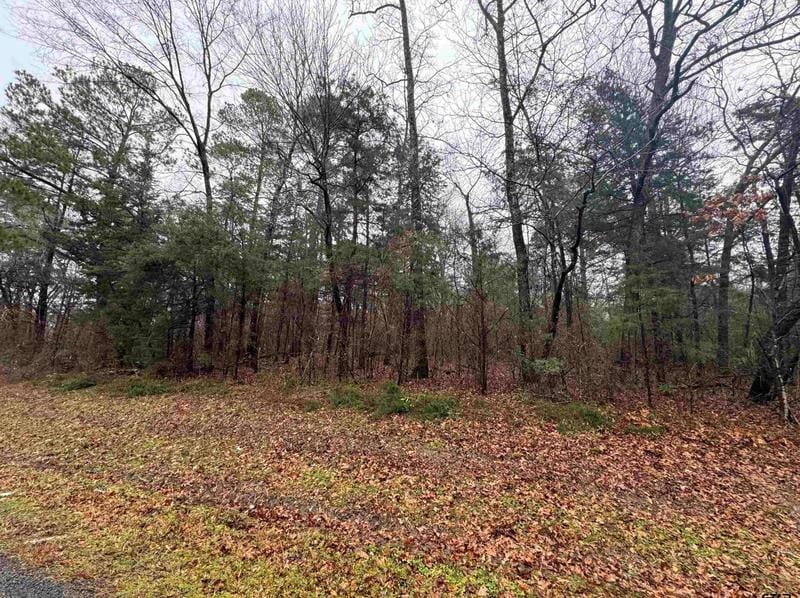 00 Fm 856, Troup, TX 75789 - MLS 24001063 for Sale