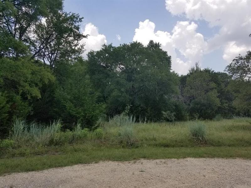 Whitney, Hill County, TX Undeveloped Land, Homesites for sale Property ID: 418540225