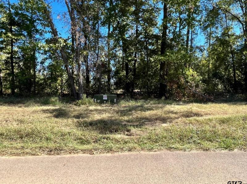 Cr 2123 (Lot 11), Whitehouse, TX 75791 - MLS 23014932 for Sale