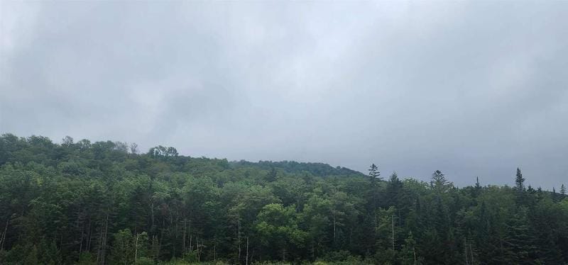 E Riddel Pond Road, Orange, VT 05641  622320945 for Sale