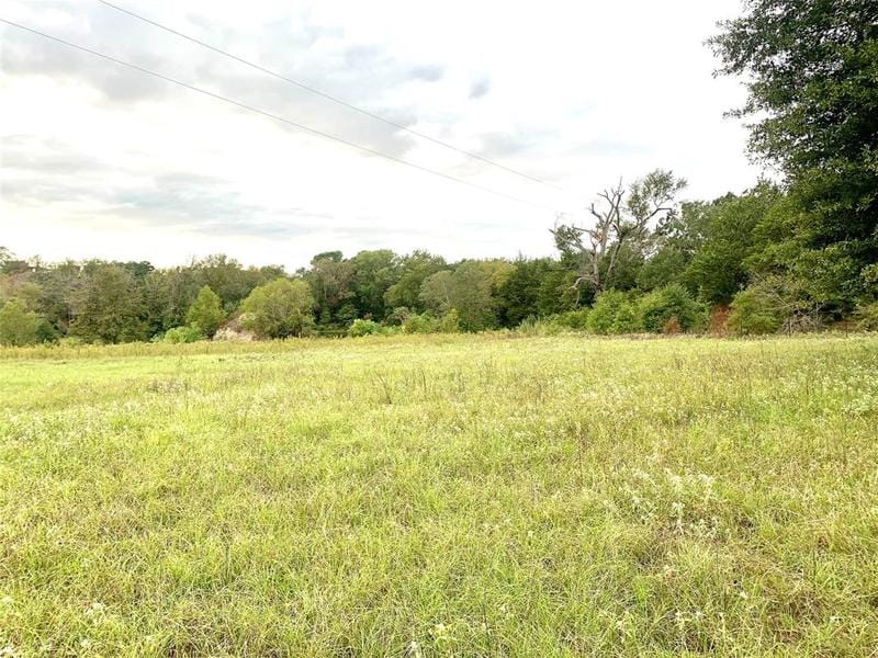 TBD CR 3516, Brownsboro, TX 75756 for Sale