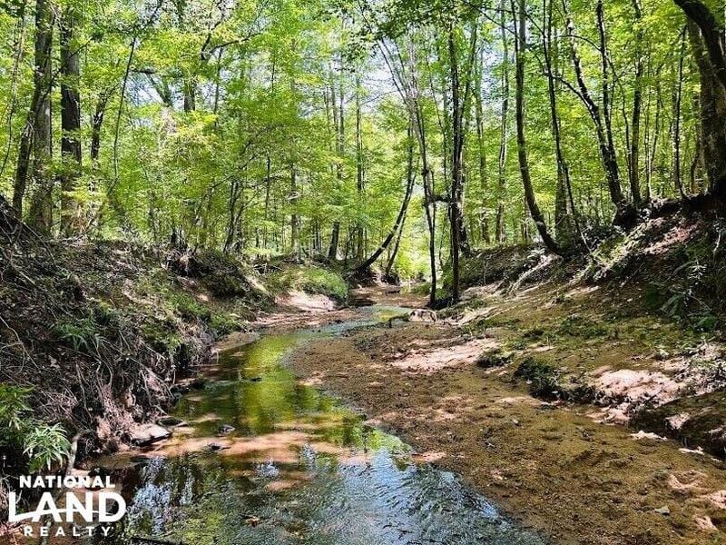 Talbotton, Talbot County, GA Recreational Property, Timberland Property, Hunting Property for sale Property ID: 418712189