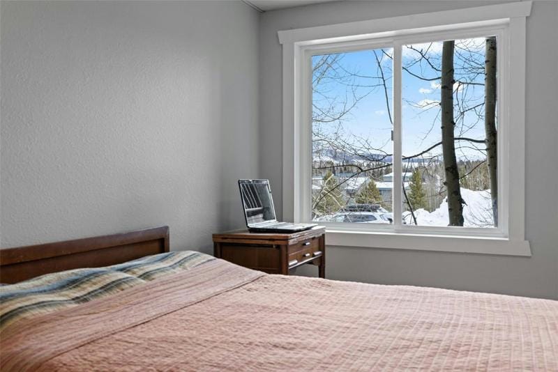 3413 RYAN GULCH RD # 3413, SILVERTHORNE, CO 80498 Condominium For Sale  MLS# S1046573