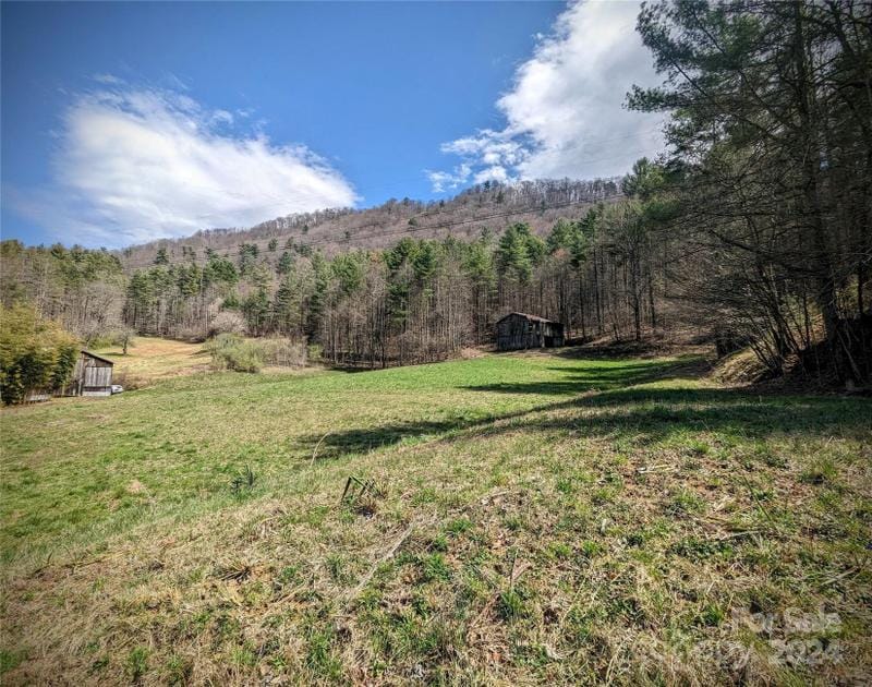 Marshall, Madison County, NC Farms and Ranches for sale Property ID: 418612784
