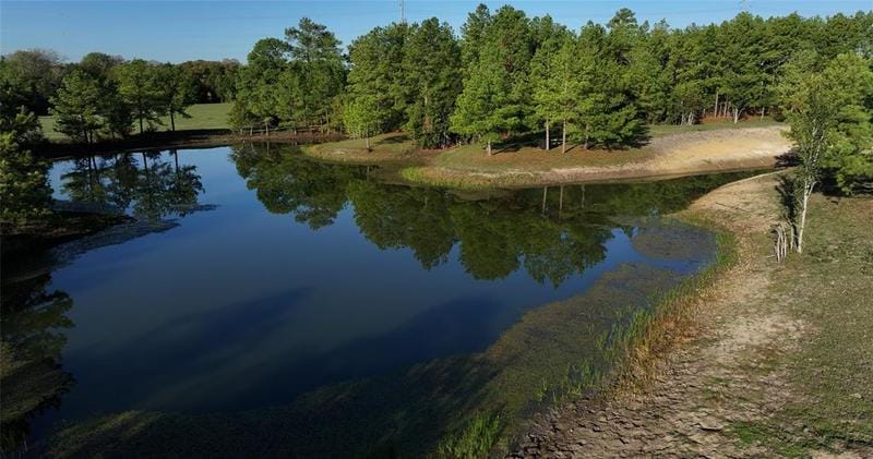 6142 County Road 313, Navasota, TX 77868 for Sale