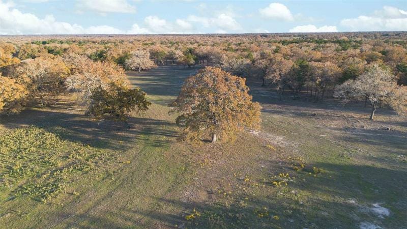 4638 Red Hollow Lane, Muldoon, TX 78949 for Sale