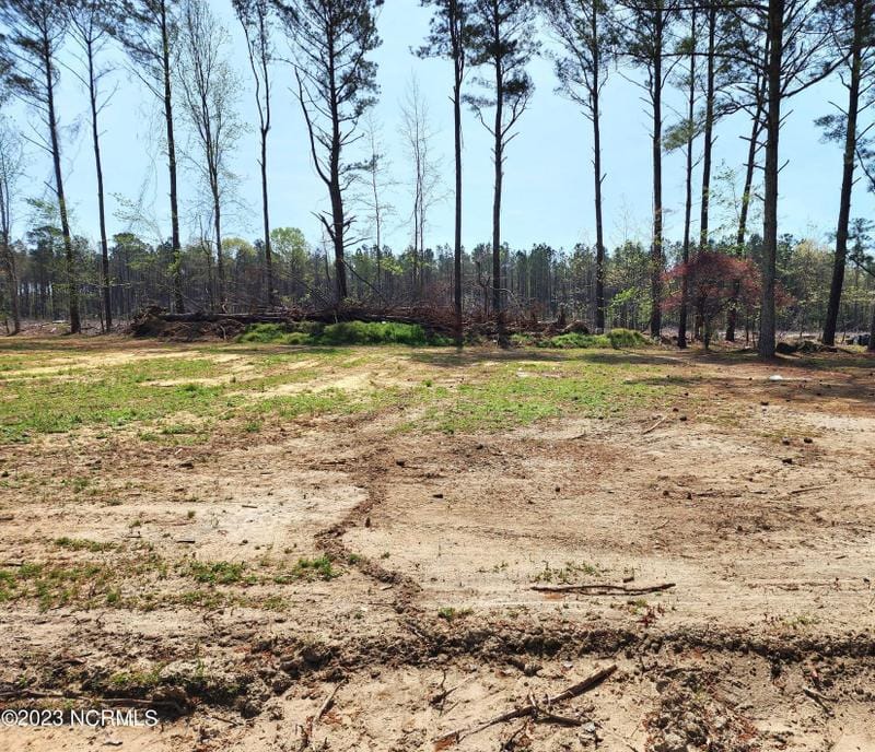 Windsor, Bertie County, NC Undeveloped Land, Homesites for sale Property ID: 418557802