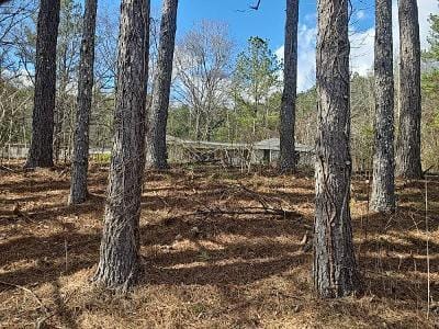 Bear Creek Rd for Sale