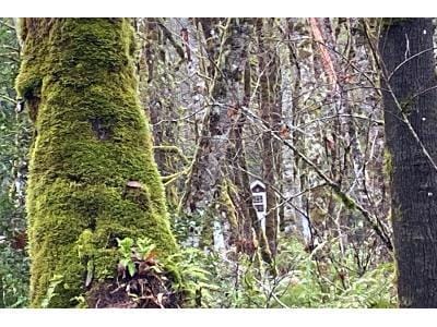 Steamboat Island Rd NW for Sale