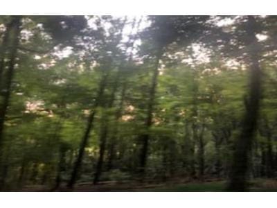 Goodson Rd for Sale
