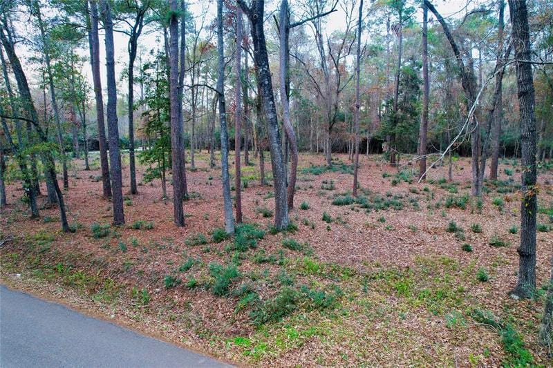12089 Oak Leaf Rd, Conroe, TX 77303 for Sale