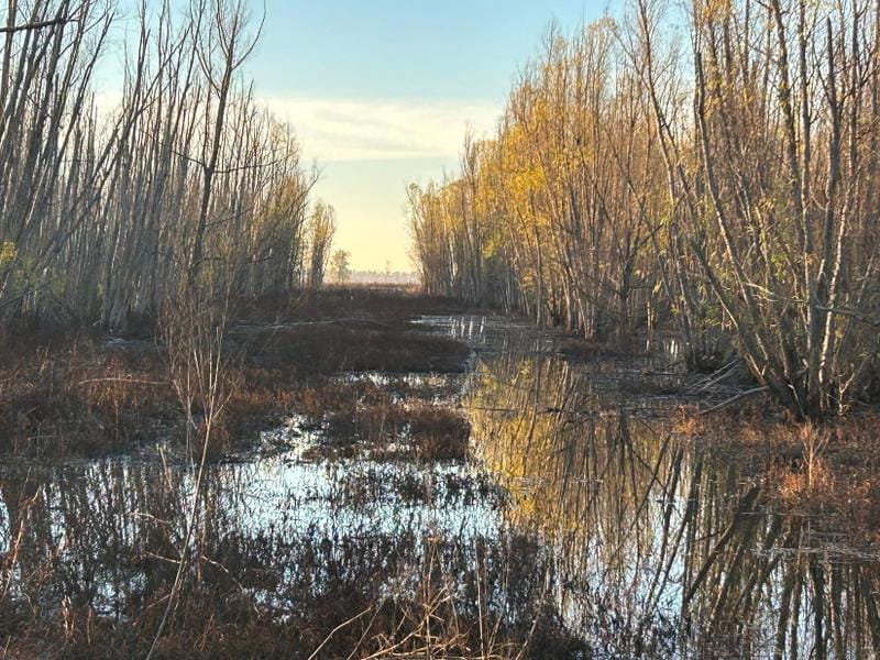 Jonesville, Concordia Parish, LA Hunting Property for sale Property ID: 418644451