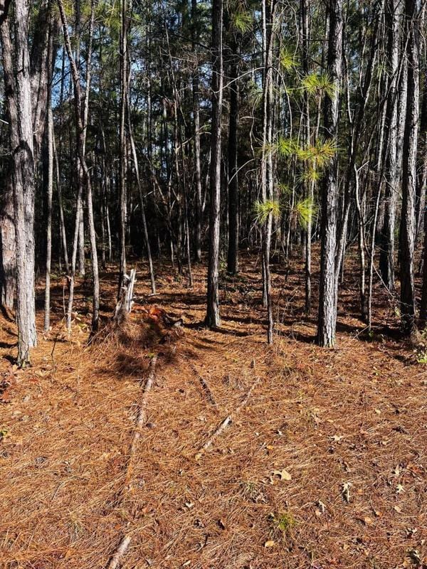 Mc Cormick, Mc Cormick County, SC Undeveloped Land, Homesites for sale Property ID: 418512103