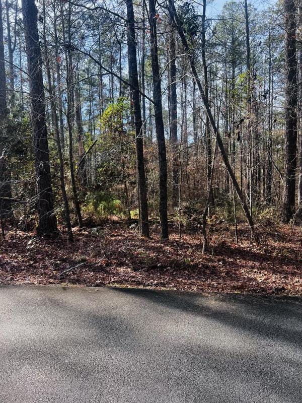 Mc Cormick, Mc Cormick County, SC Undeveloped Land, Lakefront Property, Waterfront Property, Homesites for sale Property ID: