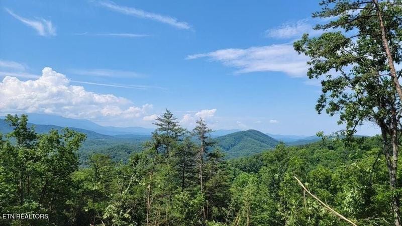 Sevierville, Sevier County, TN Undeveloped Land for sale Property ID: 418808980