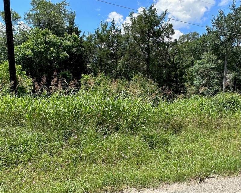 195 Lamaloa Ln, Bastrop, TX 78602 for Sale