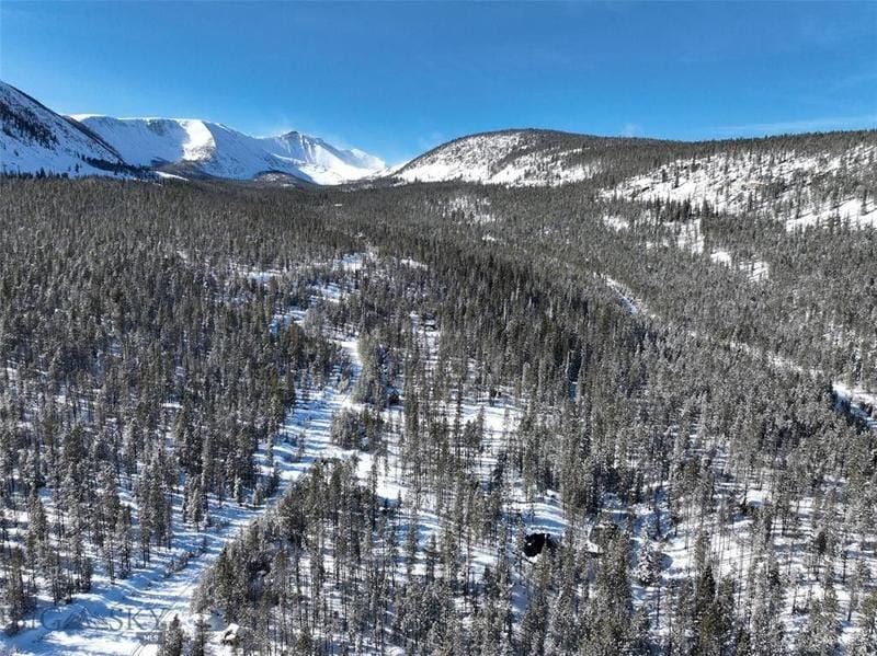 Anaconda, Deer Lodge County, MT Undeveloped Land for sale Property ID: 418891294