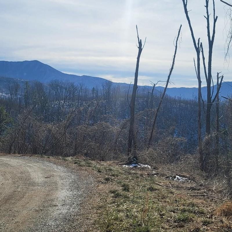 Gatlinburg, Sevier County, TN Undeveloped Land, Homesites for sale Property ID: 418808900