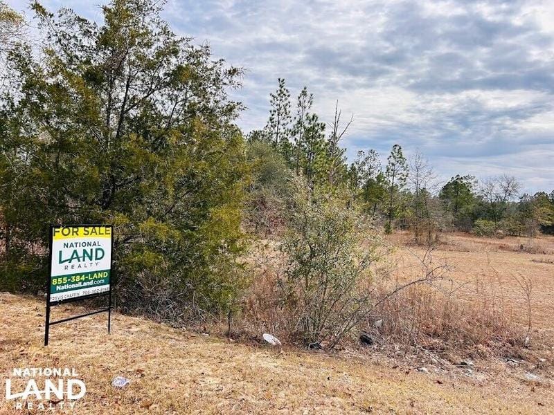 Butler, Taylor County, GA for sale Property ID: 418858592