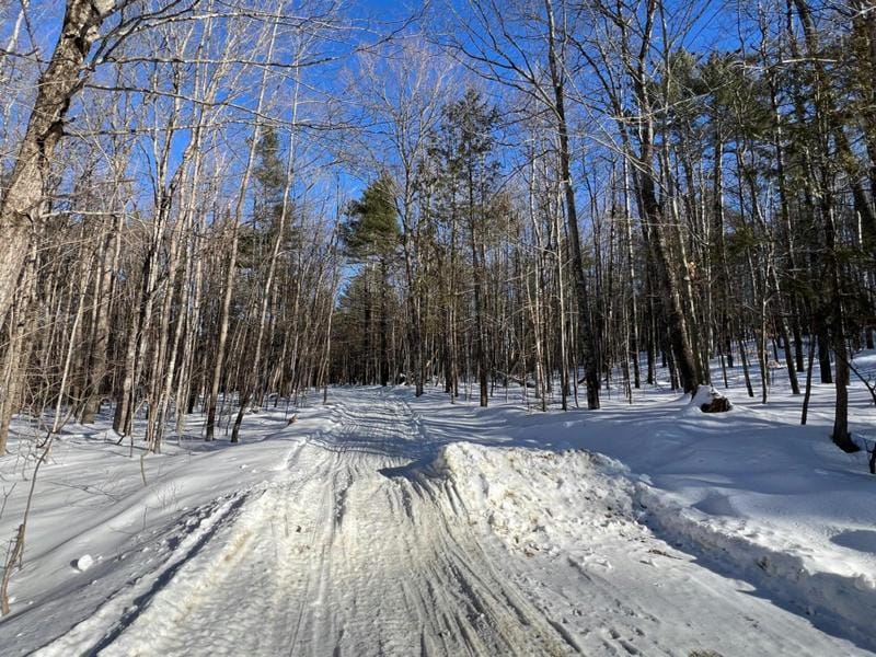 MAP 38 LOT 5 LOOKOUT AVENUE, Dover-Foxcroft, ME 04426 Land For Sale  MLS# 1582045