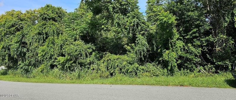 706 Hartley Avenue, Deltona, FL 32725 for Sale